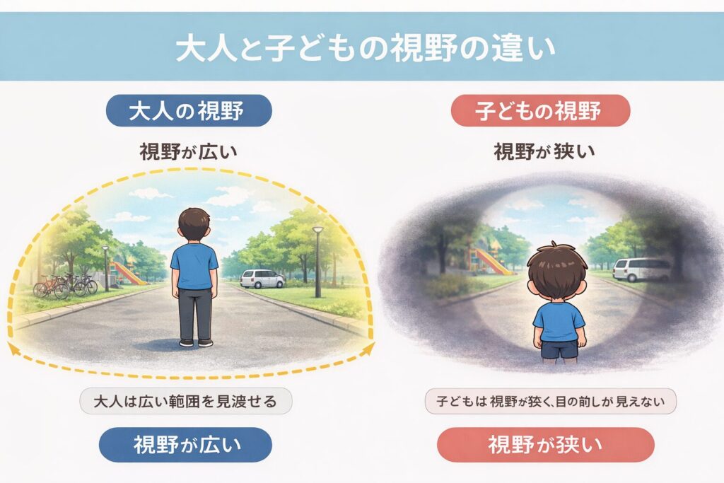 キンダーヴィレ｜子どもの視野の範囲と大人の視野の範囲の違いについて