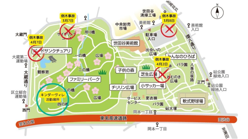 砧公園倒木｜時系列と具体的な場所