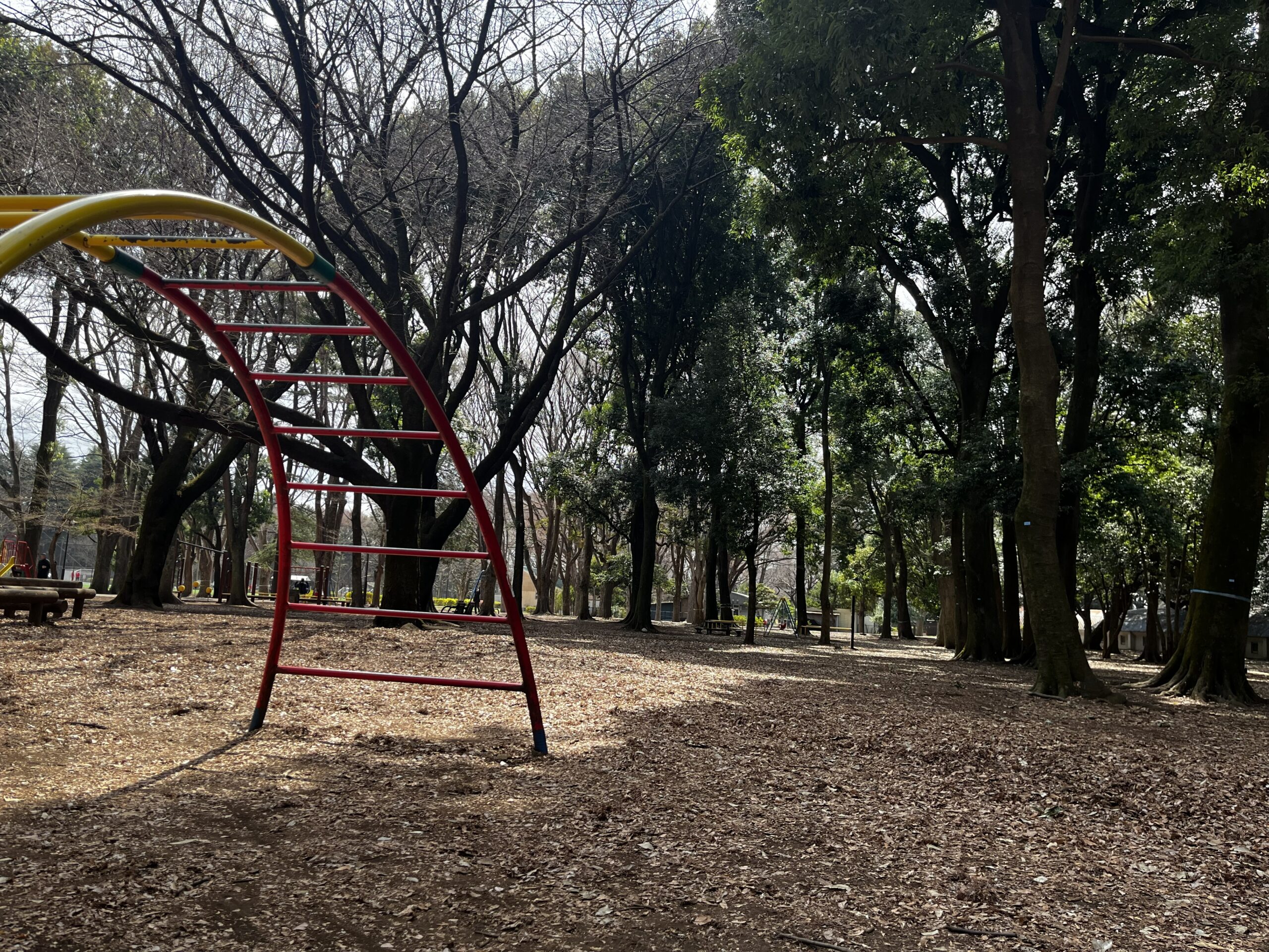 砧公園 子どもの森 遊び場