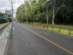砧公園倒木｜大蔵通り沿い