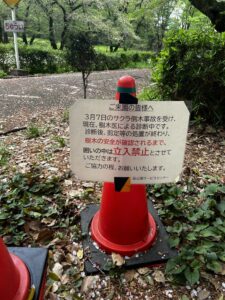 砧公園倒木｜公園内注意事項