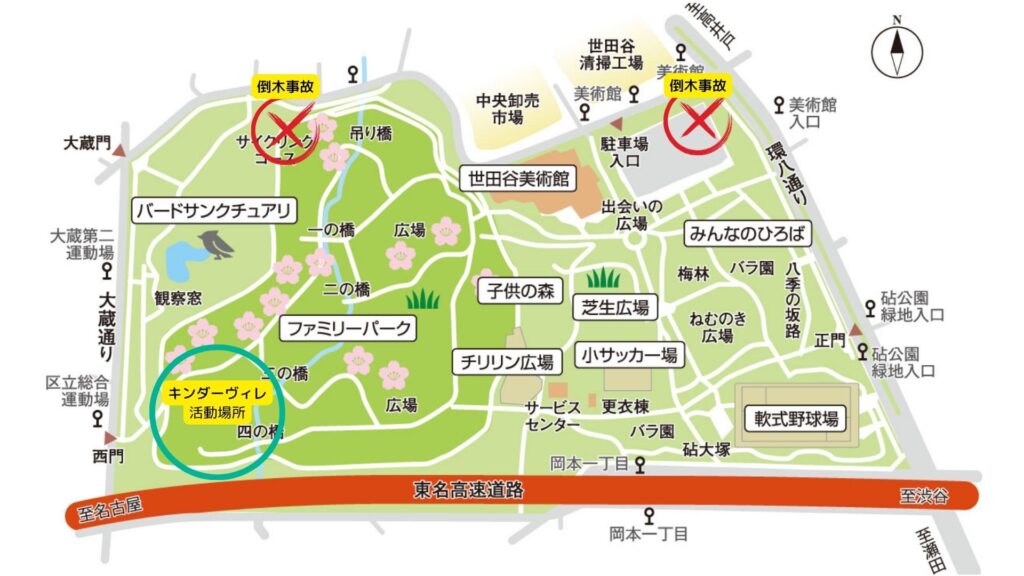 倒木のあった砧公園の場所